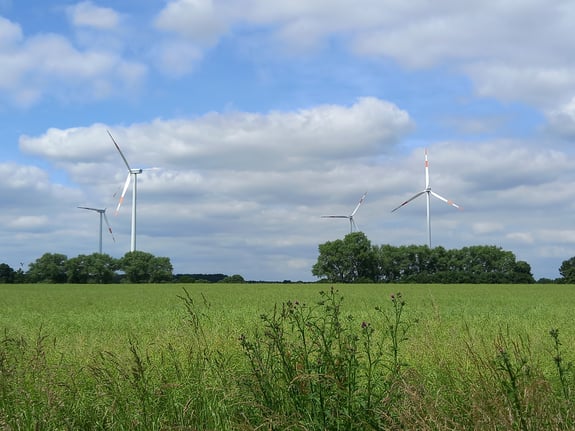 Windpark im Grünen